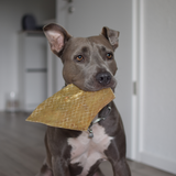 Kauartikel Best-of-Bundle