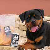 Kauartikel Best-of-Bundle