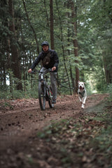 Gelenk Booster Pulver