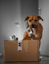 Klebeband Papier 1 Rolle