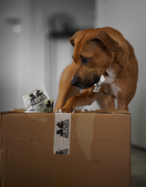 Klebeband Papier 1 Rolle