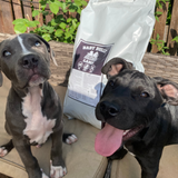 Trockenfutter Probier-Bundle Baby Bully