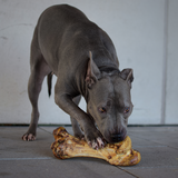 Kauartikel XXL Bundle