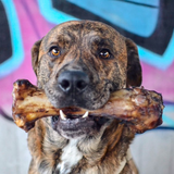 Kauartikel XXL Bundle