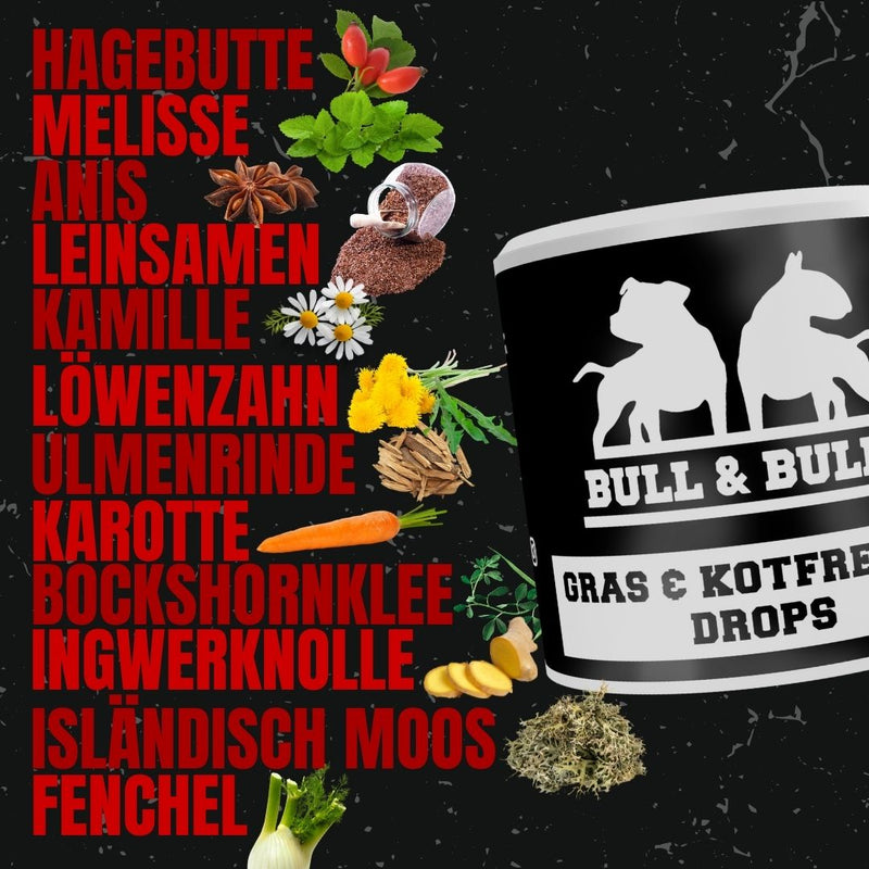 Sodbrennen Bundle XL