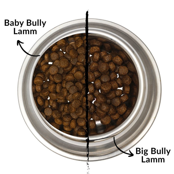 Big Bully Lamm