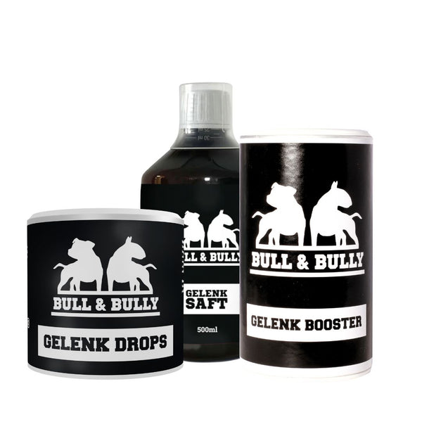 Gelenk Bundle XL