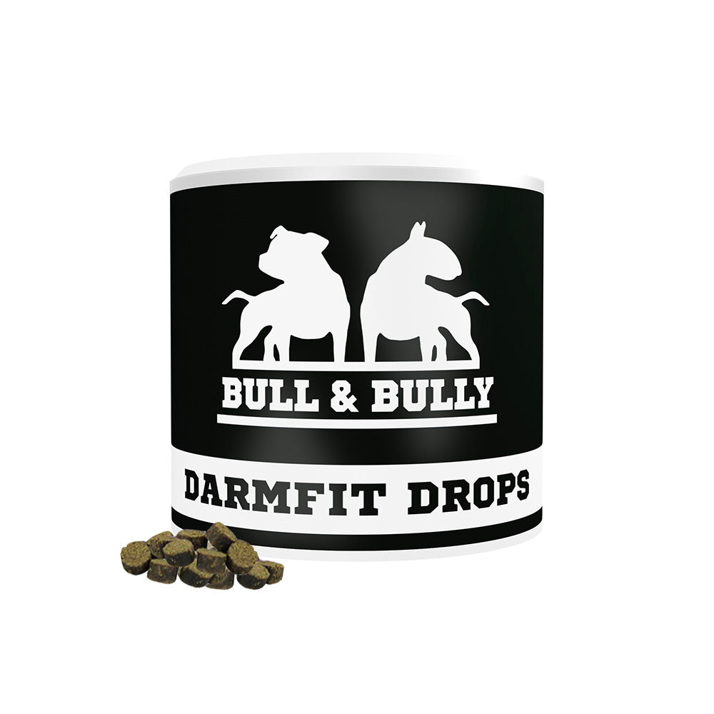 Darmfit Drops I Fester Kot bei starken Hunden – Bullandbully